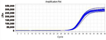 High-pressure homogenizer Test Report 3